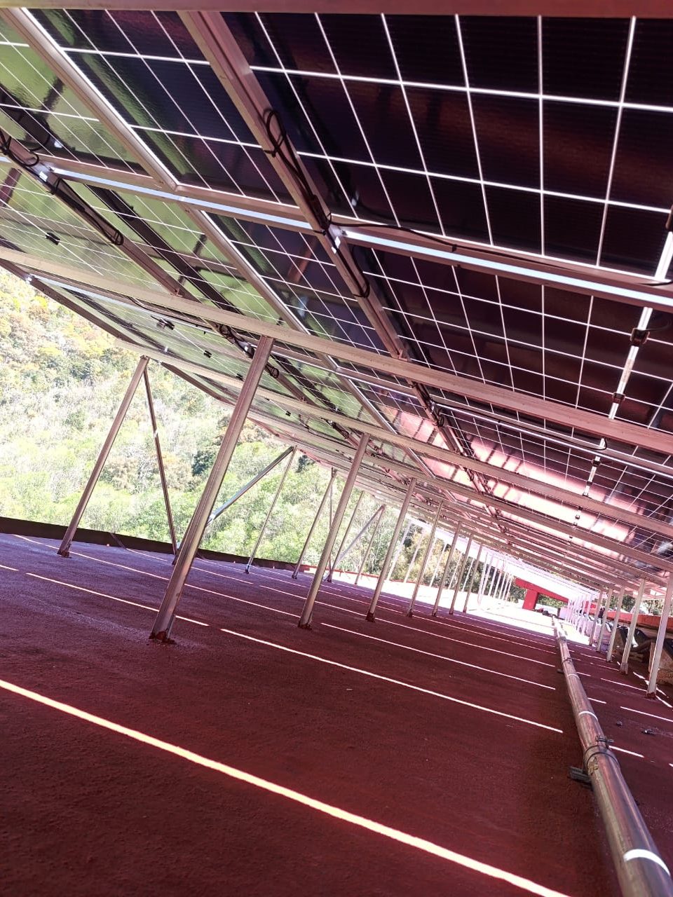 Estructura elevada a medida para paneles solares en Discovery School, Cuernavaca, Morelos